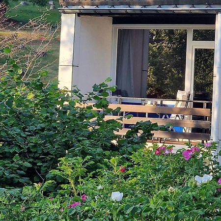 Gemuetliche Moderne Ferienwohnung Inkl. Wlan In St Andreasberg/Braunlange Sankt Andreasberg Zewnętrze zdjęcie
